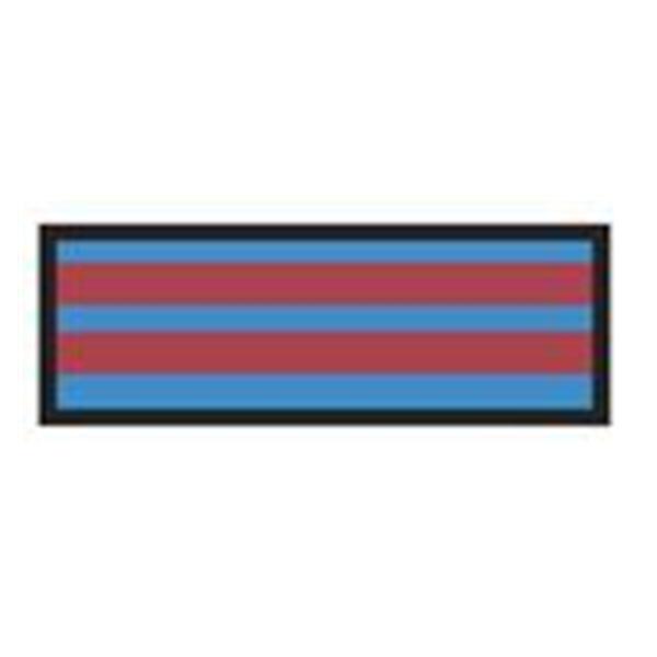 Aspen Surgical Tape Instrument Id Colortrack 8-1/2X11" Sheet/1/4" Flexible Blue/Red Stripe Ea - 156004EEA