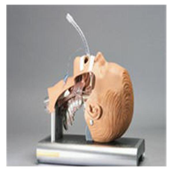 Ambu Inc Trainer Airway Management Ea - 186002000
