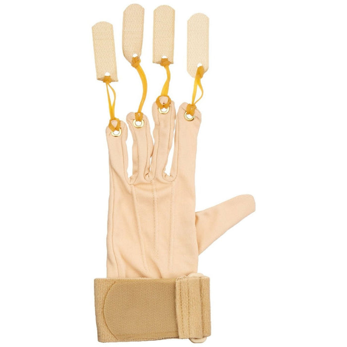 Exercise Glove