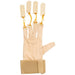 Exercise Glove