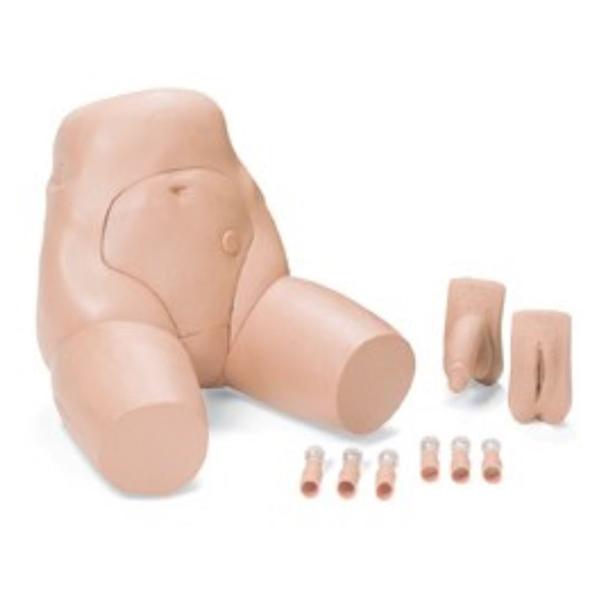 Laerdal Medical Corp Task Trainer Catheterization & Enema Male/Female Each - 375-21001