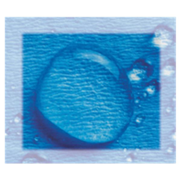 Crosstex International Wrap Csr 12 In X 12 In Blue 1000/Ca - SW12