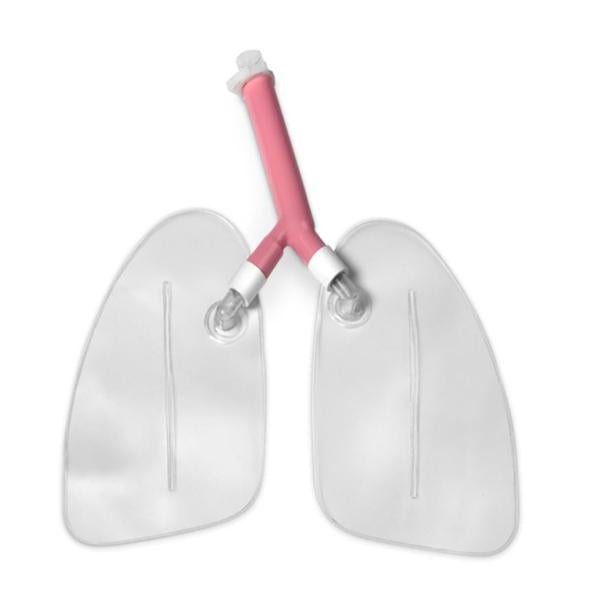 Nasco Company Lung Kit Replacement Life/Form Ea - LF03605U