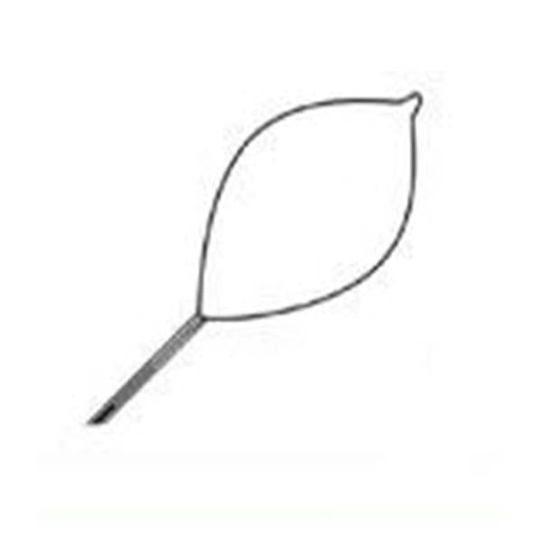 Conmed Corporation Snare Polypectomy Optimizer Firm Loop Wire Oval Small/Mini 10/Ca - 476