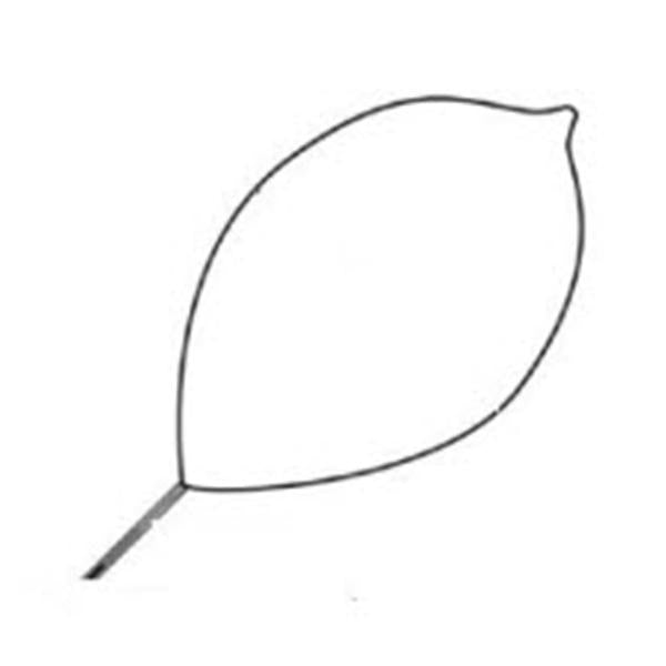 Conmed Corporation Snare Polypectomy Optimizer Soft Loop Wire Oval Large 10/Ca - 460