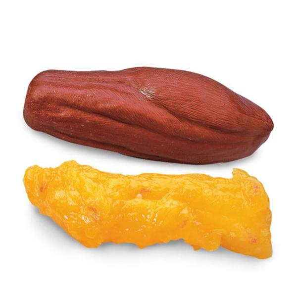 Nasco Company Body Fat/Muscle Replica Anatomical Life/Form Each - WA25814U