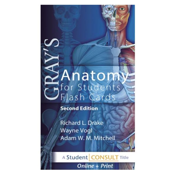 Nasco Company Flash Card Set Educational 2Nd Edition Gray'S Anatomy Each - SB41314G