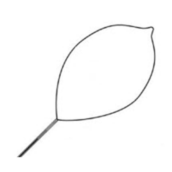 Conmed Corporation Snare Polypectomy Singular Firm Loop Wire Oval Large 10/Ca - 977