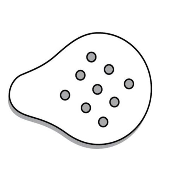 Beaver-Visitec Int Shield Eye Bd 2X1-5/8" Clear Plastic Disposable 25/Bx - 581708