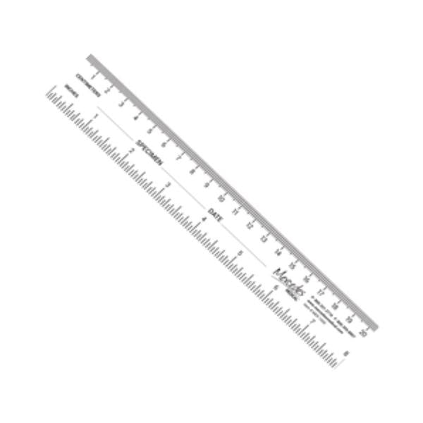 Mercedes Medical Specimen/ Date Fields Ruler Paper 250/Pk - MER1000