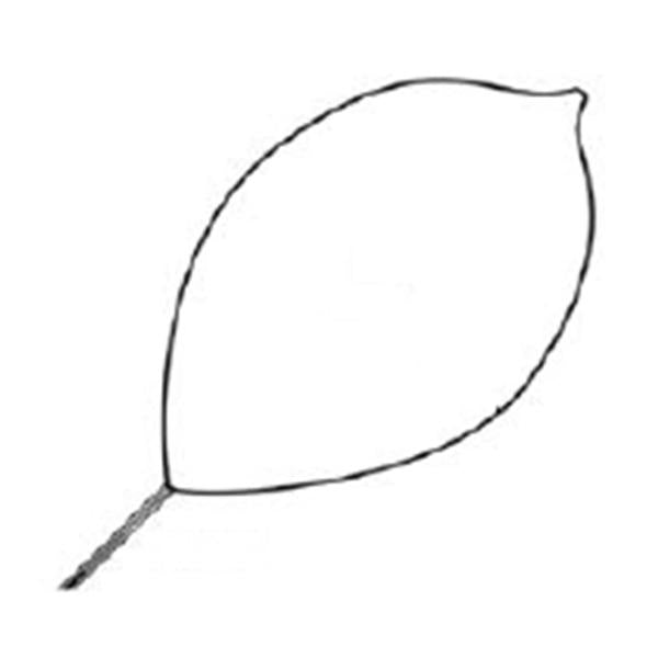 Conmed Corporation Snare Polypectomy Optimizer Firm Loop Wire Oval Large 10/Ca - 473