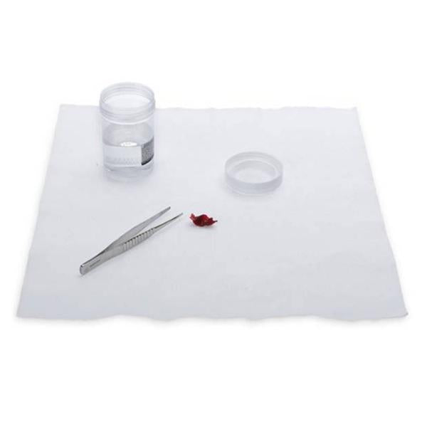 Marketlab Formalin Neutralizing Mat For Spill Kit 13X13" 50/Pk - 5162