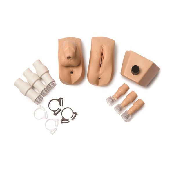 Laerdal Medical Corp Male/Female Genetalia Manikin Kit Each - 200-03650