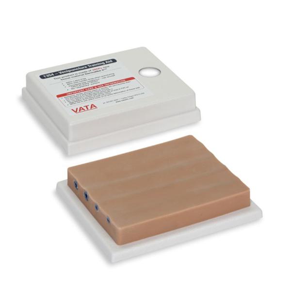 Nasco Company Four-Vein Venipuncture Simulator Training Ea - SB23527U