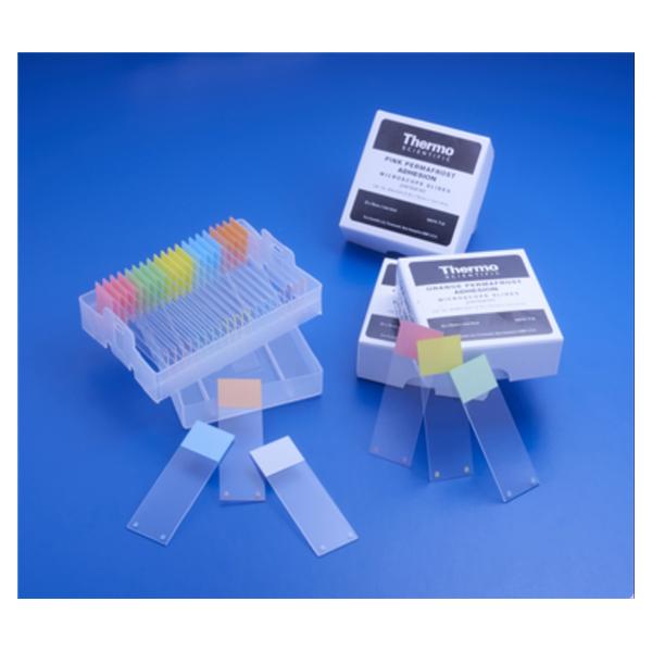 Erie Scientific Frosted Microscope Slide 3X1" White With Adhesive Coating 1440/Ca - 640-ADH-001