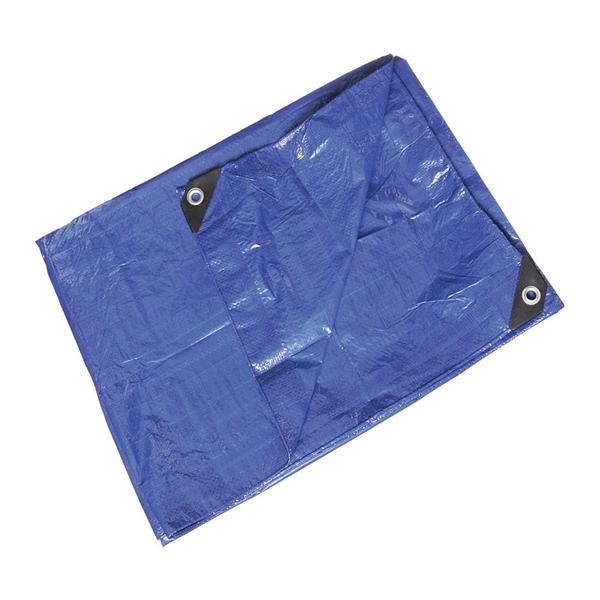 Grainger Tarp 8X10" Blue Ea - 22JC26