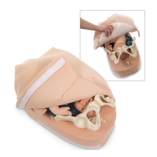 Nasco Company Abdominal Palpation Model Demonstration Ea - SB23476U