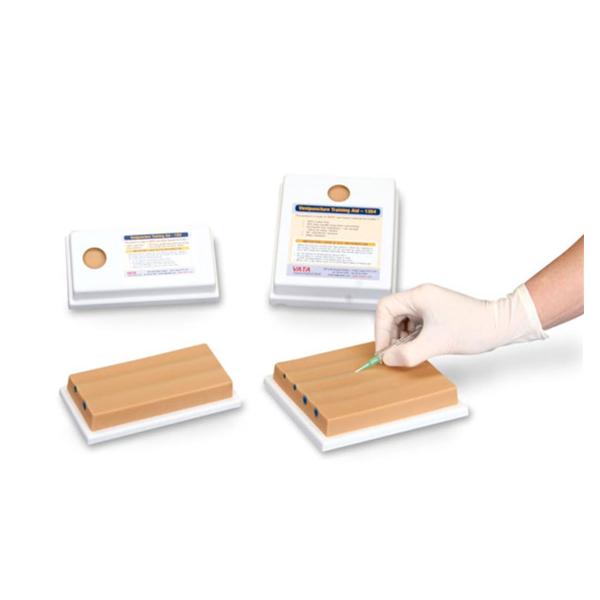Generic Venipuncture Model Training 5/Pk - SB25040UG