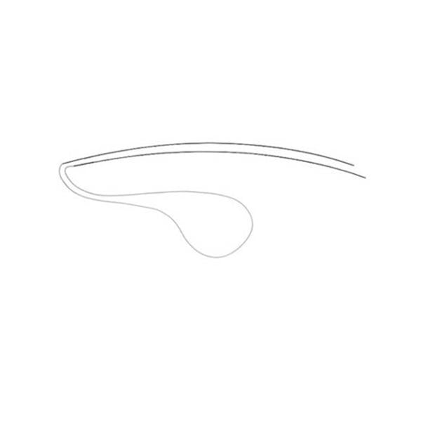 Beaver-Visitec Int Intubation Set Eye Canaliculus Round Guibor Cis W/ Prb/Tbng Stainless Steel 5/Bx - 8590350