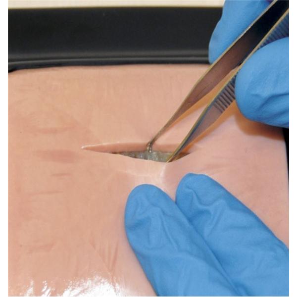 Nasco Company Double Layer Skin Training Pad Suture Practice Lifelike Biotissue Ea - SB48846
