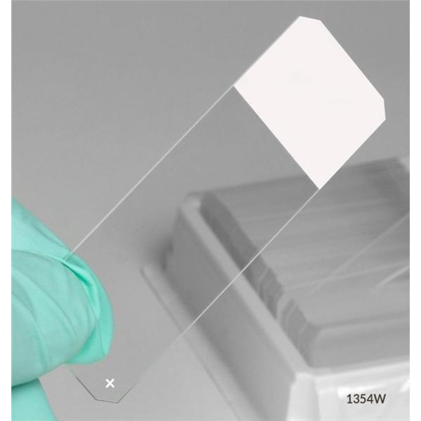 Globe Scientific Diamond Frosted Microscope Slide 3X1" White W/ +Chrg/45D Bvl Edg/Sfty Crnr 72/Bx - 1354W