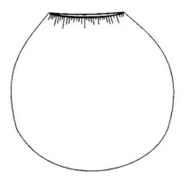 Advanced Medical Designs Cover Dome Snap Kap 30" Clear Sterile 20/Ca - 03-KP30