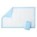 Polymer Underpad