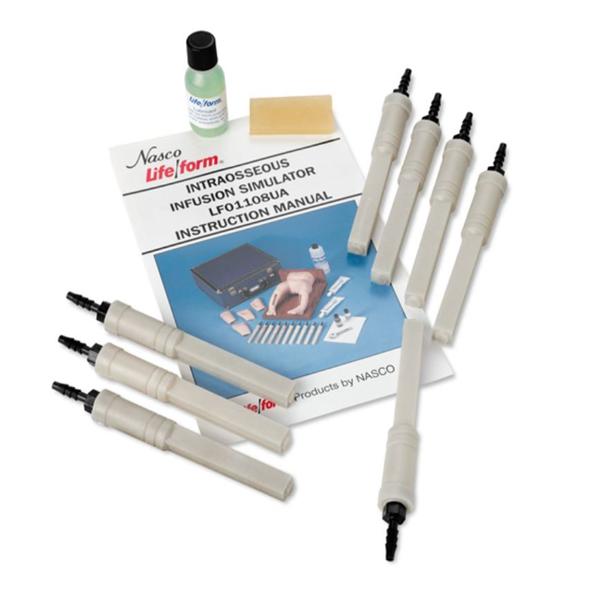 Nasco Company Bone Model Life/Form Ea - LF01109U