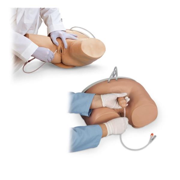 Nasco Company Catheter Simulator Educational Male/Female Ea - LF00857U